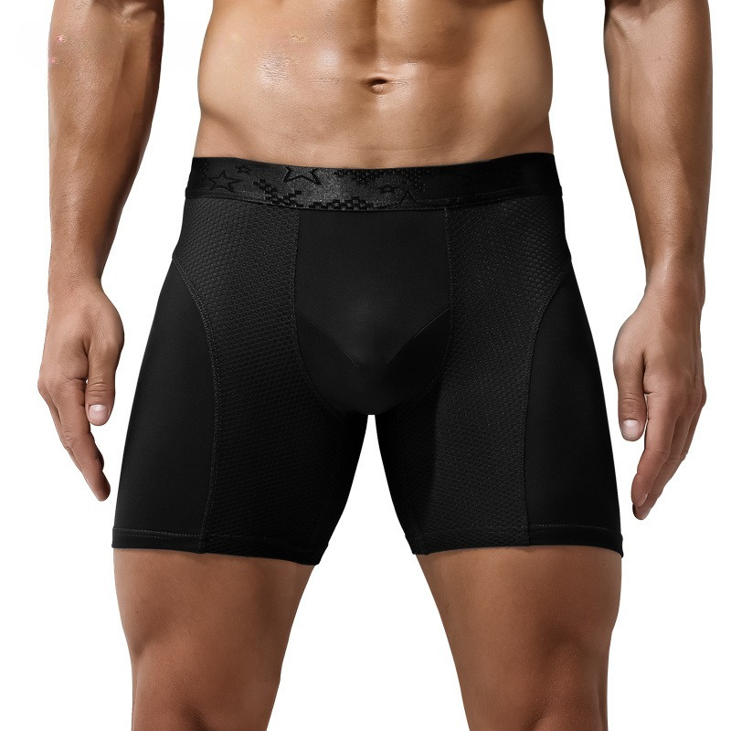 L-6XL Large Size Mens Mesh Mod - Mesh Sport Boxer のレビューと価格
