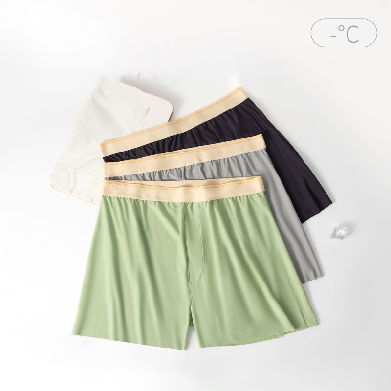 Large Size Thin Men Arrow Pant - Quick Dry Underwear のレビューと価格