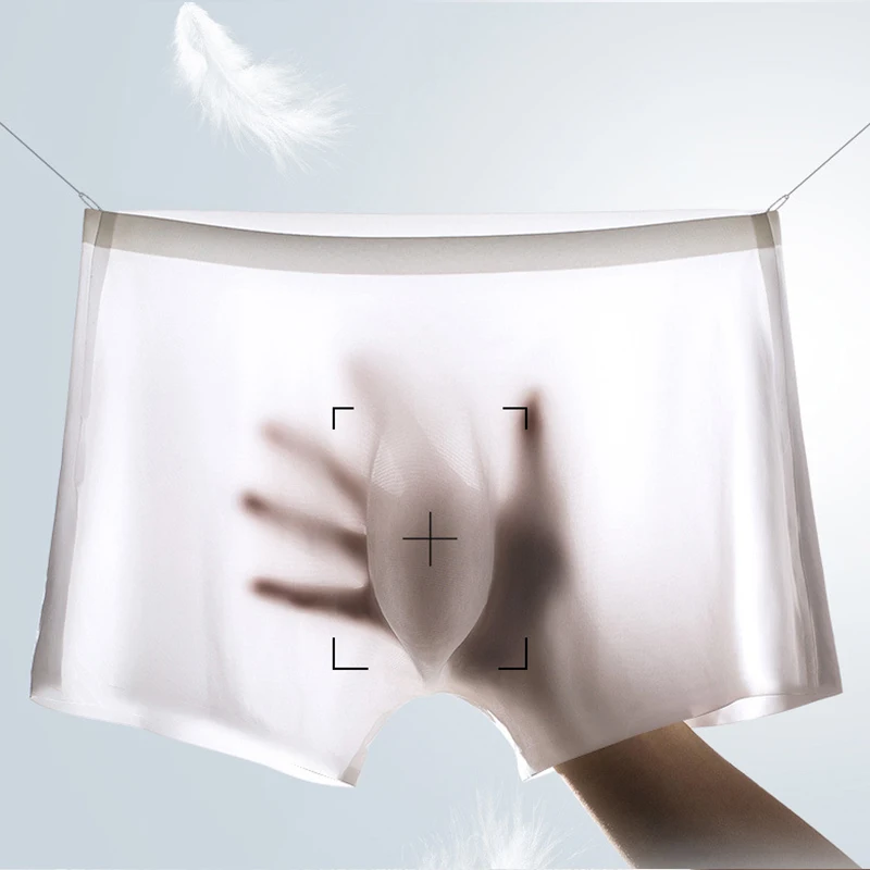 10 Pcs/Lot Men's Summer Ice Si - Multi Pack Underwear のレビューと価格