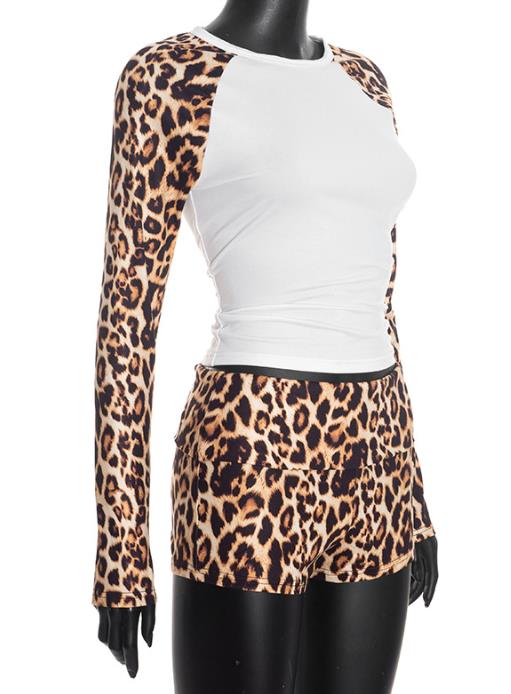 2026 Spring Women's Set Round  - T Shirt Tight Fit のレビューと価格