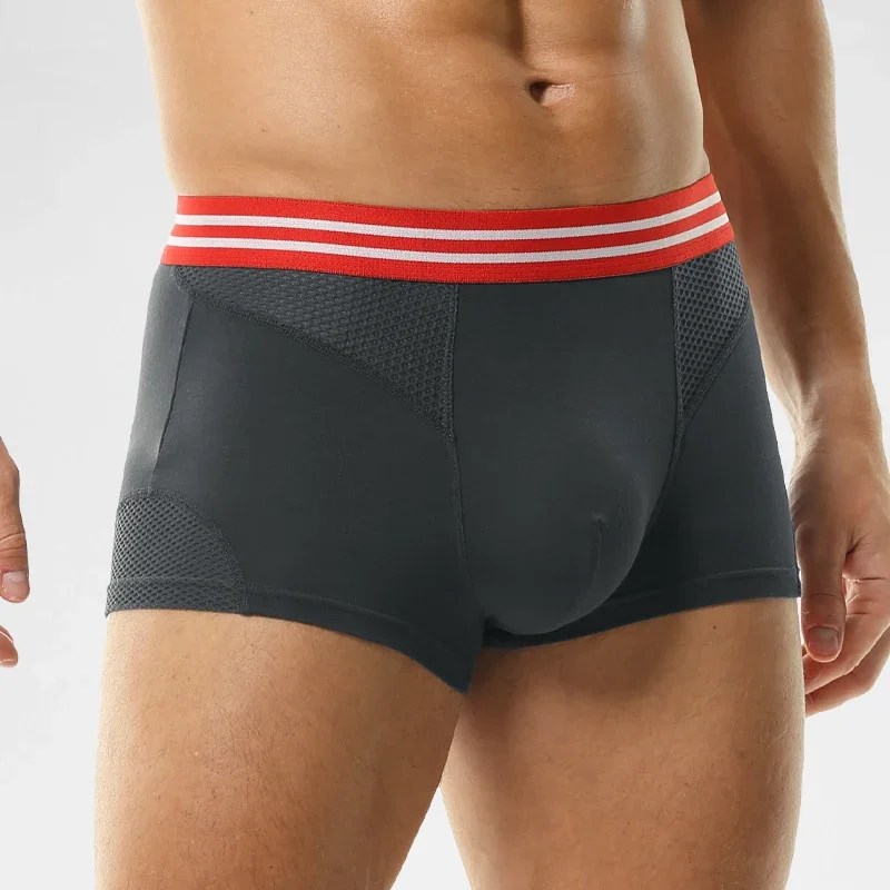 Underwear Men's boxers Modal m - Mesh Sport Boxer のレビューと価格