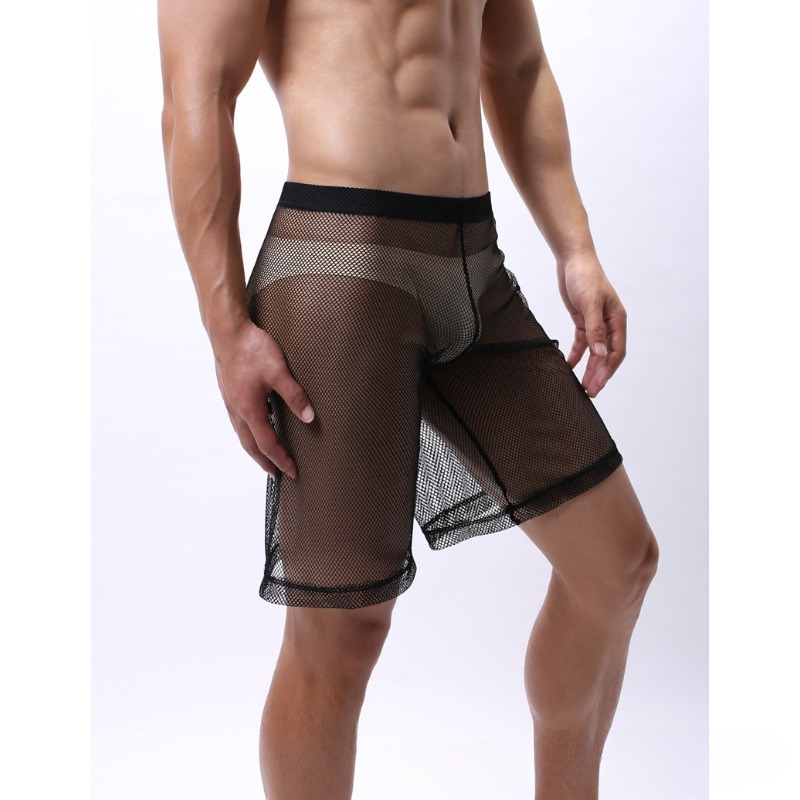Low Rise Mesh Erotic Underwear - Pouch Boxer Pouch のレビューと価格