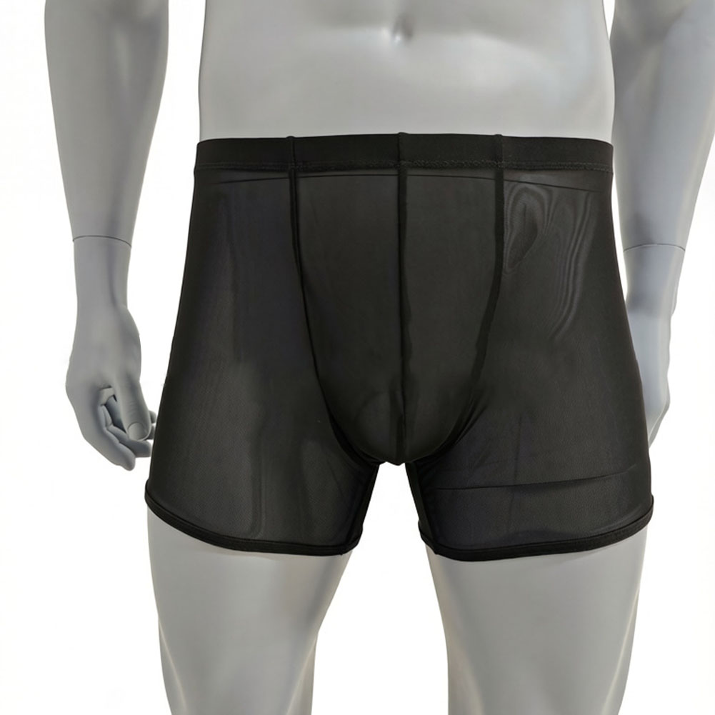 Men Mesh See-through Ultra-thi - Long Leg Trunk Men のレビューと価格