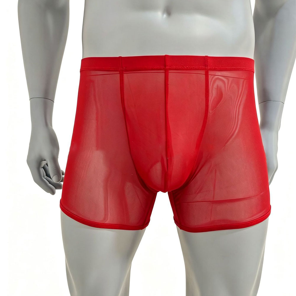 Men Mesh See-through Ultra-thi - Long Leg Trunk Men のレビューと価格
