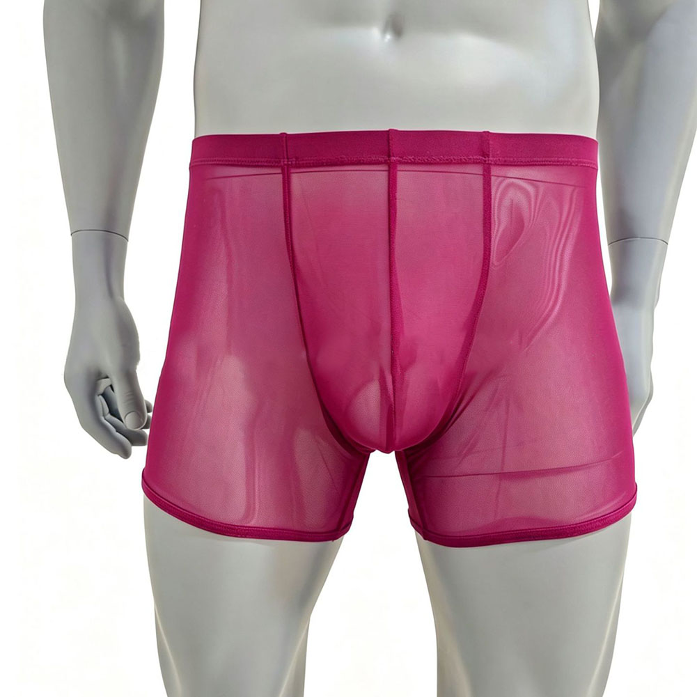 Men Mesh See-through Ultra-thi - Long Leg Trunk Men のレビューと価格