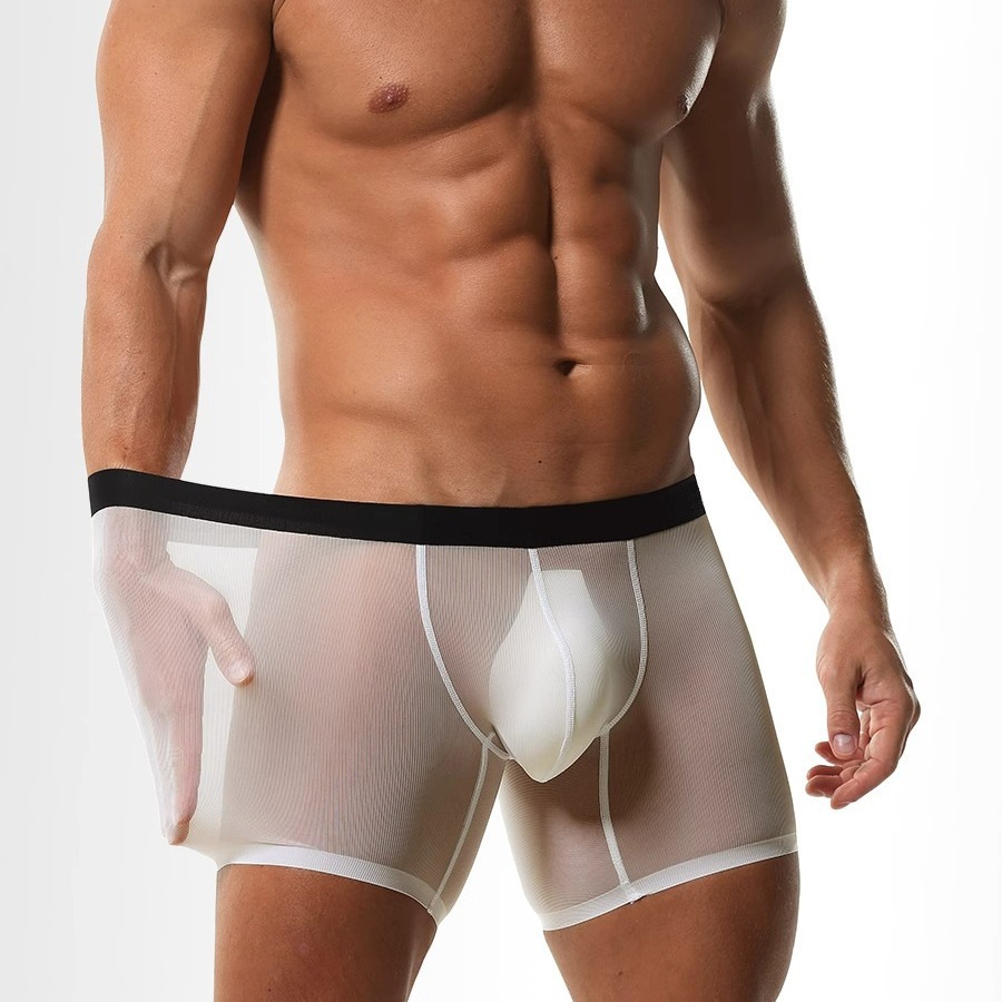Mens Long Leg Boxer Shorts Ice - Long Leg Trunk Men のレビューと価格