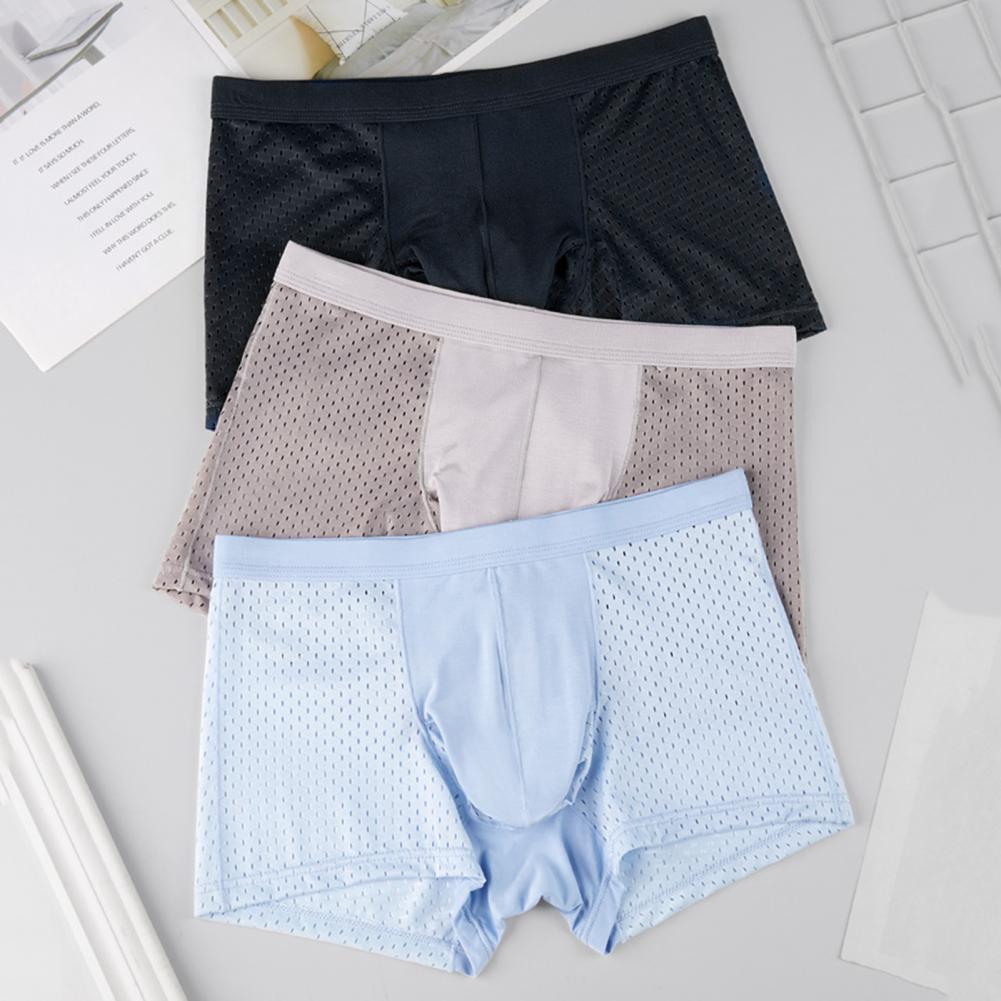 2025 M-3XL Men Boxers Elephant - Mesh Sport Boxer のレビューと価格