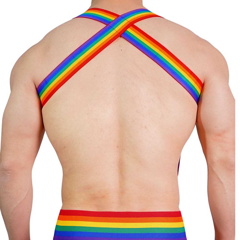 JOCKMAIL Rainbow Body Harness  - Jockstrap Athletic のレビューと価格