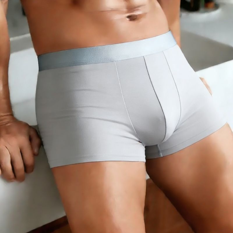 Men's Ice Silk Boxer Briefs So - Boxer Shorts Modal のレビューと価格